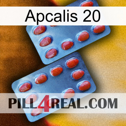 Apcalis 20 05